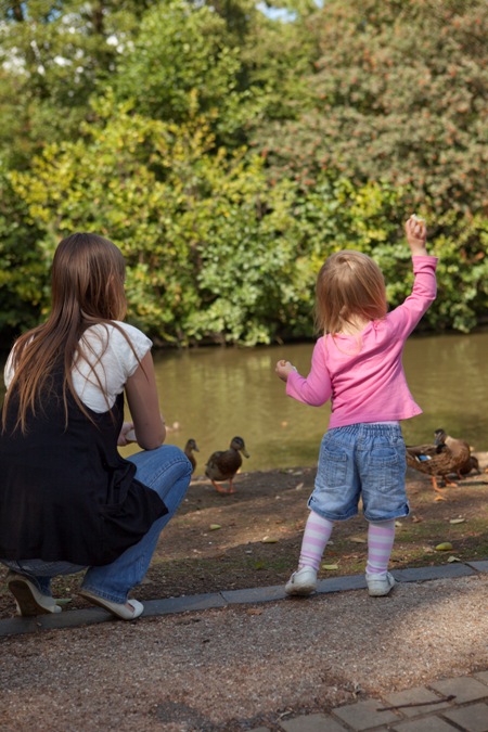 Chesterfields open spaces