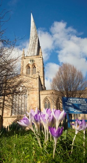 Crooked Spire Spring