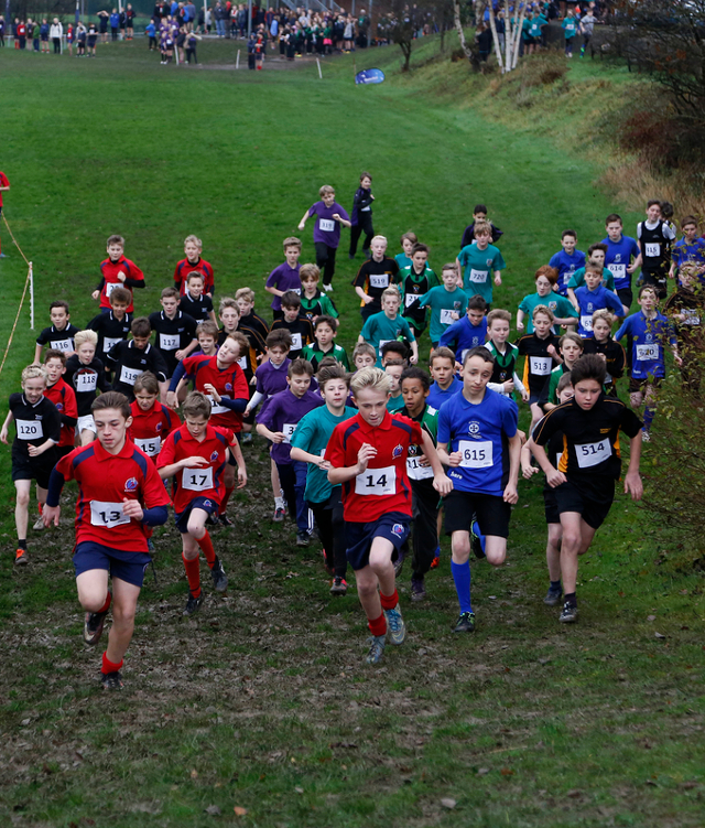 Chesterfield Schools Cross Country event