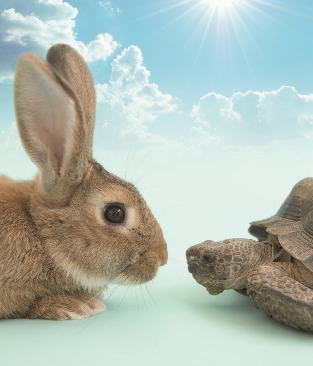 Northern Ballet The Tortoise and the Hare - Chesterfield Theatres