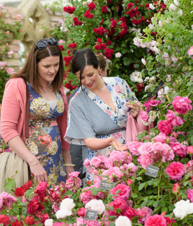 RHS Chatsworth