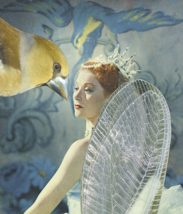 Linder sterling