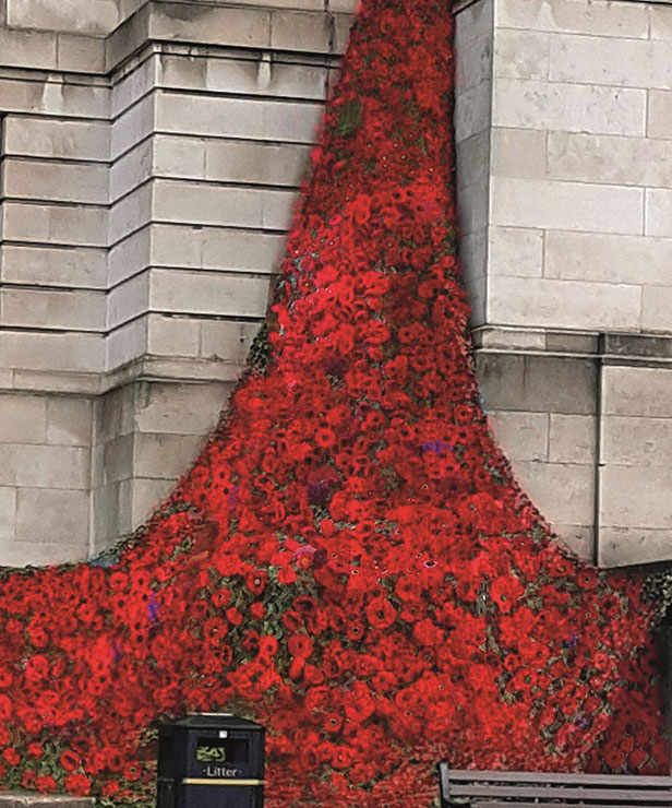 Chesterfield poppy cascade