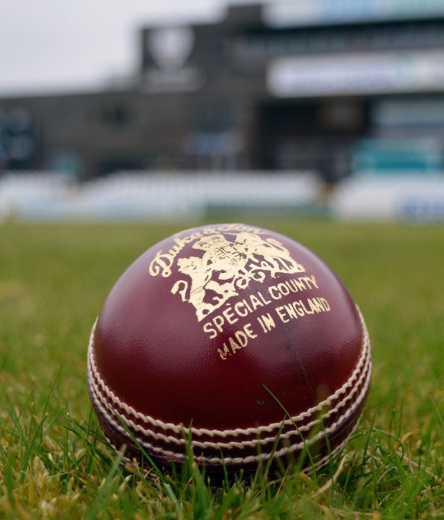 Head of Cricket