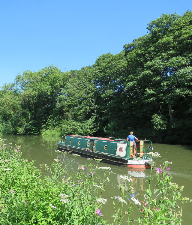 Chesterfield Canal 2019