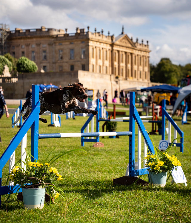 Chatsworth Country Fair