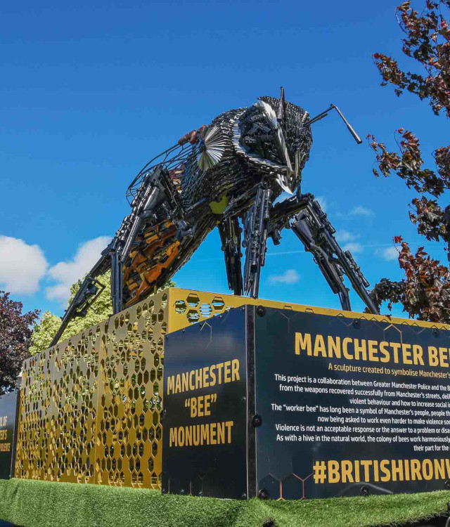 Anti-Violence Bee