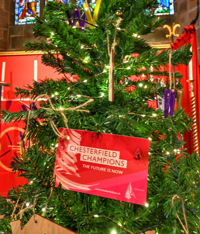 Tree at the Festival of Christmas Trees
