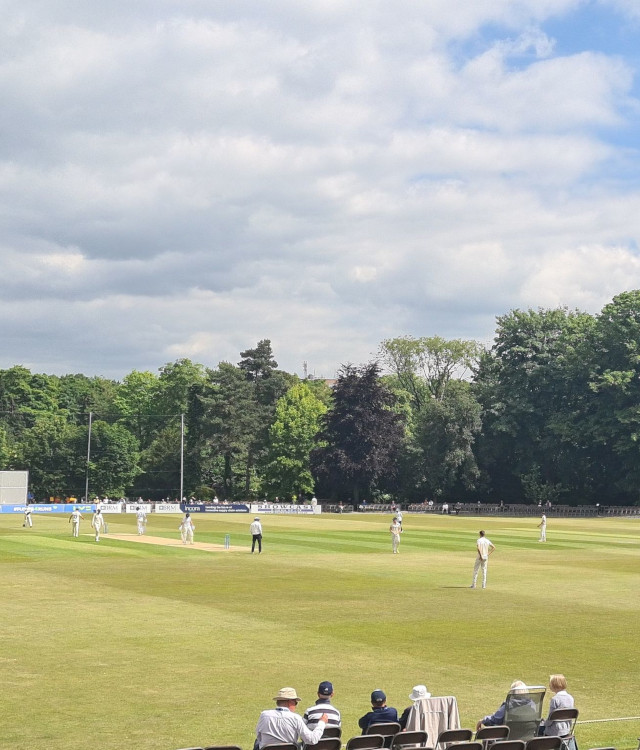 Chesterfield festival of cricket portrait