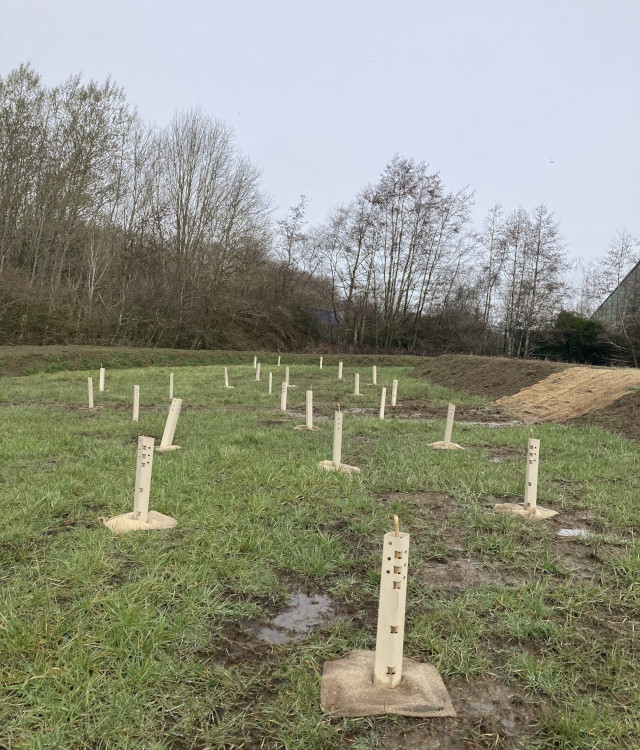 Tree planting at Grassmoor Country Park