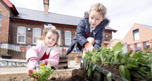 Two female pupils at Heath Primary School planting in the garden