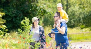 Family walking at Queen's Park, surrounded by wild flowers