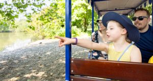 Girl in yellow dress pointing from seat of Puffin Billy