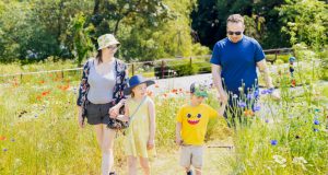 Family walking at Queen's Park, surrounded by wild flowers