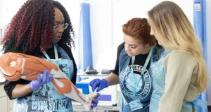 Three female student nurses looking at a model of a leg at University of Derby, Chesterfield