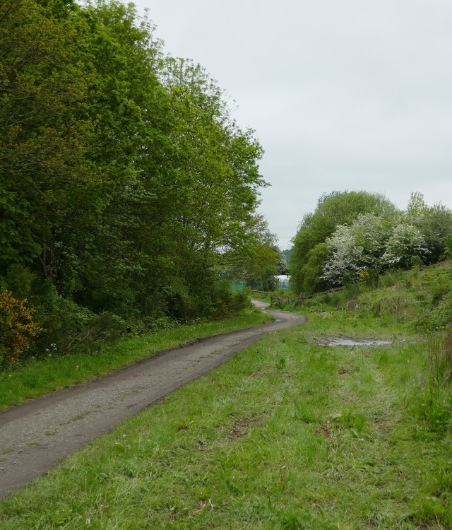 Chesterfield Canal hartington site for regeneration