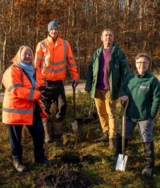 heartwood community forest