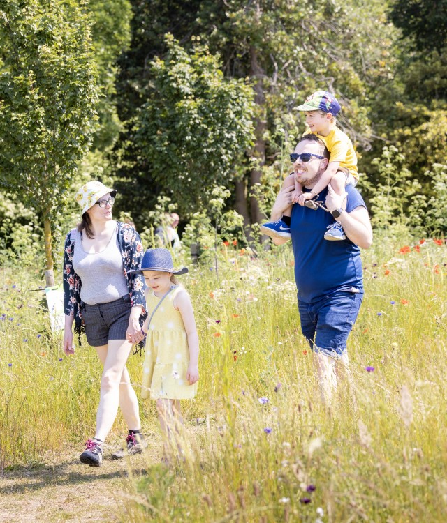 Family queens park